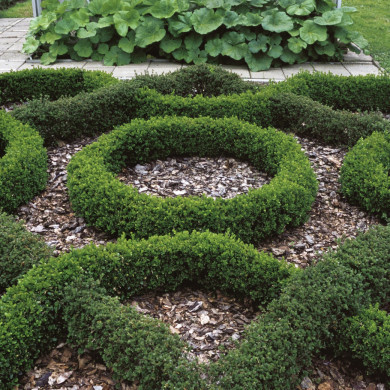 Rijksdienst voor het Cultureel Erfgoed: Heuff M. (Marijke)