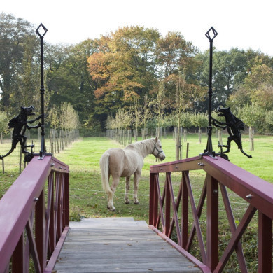 Rijksdienst voor het Cultureel Erfgoed: Roderburg, K. (Kris)