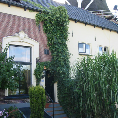 Rijksdienst voor het Cultureel Erfgoed: Terpstra, Frank