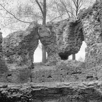 Rijksdienst voor het Cultureel Erfgoed: Delemarre, G.Th.