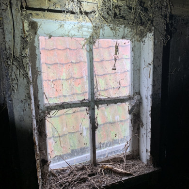 Rijksdienst voor het Cultureel Erfgoed: Bogers, Guido