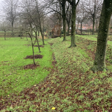 Rijksdienst voor het Cultureel Erfgoed: Bogers, Guido