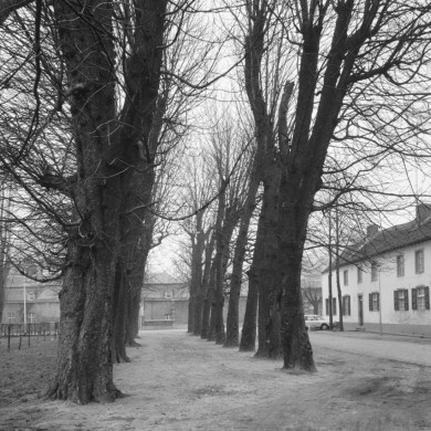 Rijksdienst voor het Cultureel Erfgoed: Delemarre, G.Th.