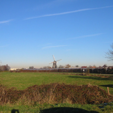 Rijksdienst voor het Cultureel Erfgoed: Terpstra, Frank