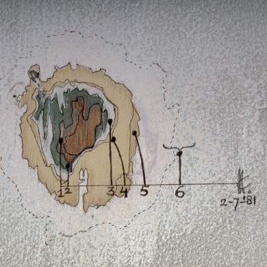 Rijksdienst voor het Cultureel Erfgoed: Wal, A.J. van der