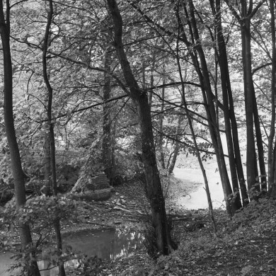 Rijksdienst voor het Cultureel Erfgoed: Wal, A.J. van der