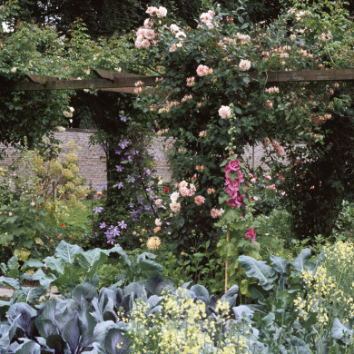 Rijksdienst voor het Cultureel Erfgoed: Heuff M. (Marijke)