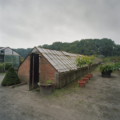 Rijksdienst voor het Cultureel Erfgoed: Heins, IJ.Th.