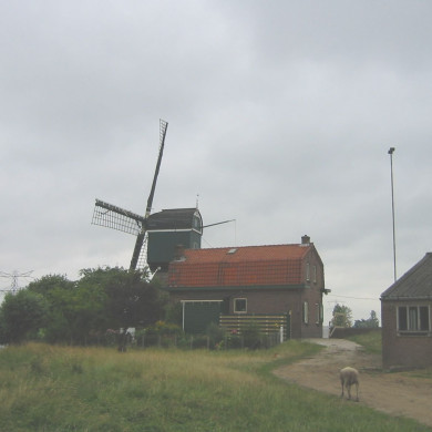 Rijksdienst voor het Cultureel Erfgoed: Terpstra, Frank