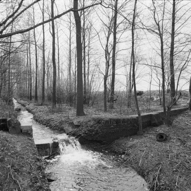 Rijksdienst voor het Cultureel Erfgoed: Tangel, L.M.