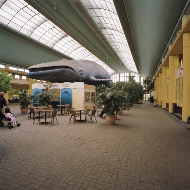 Rijksdienst voor het Cultureel Erfgoed: Wal, A.J. van der