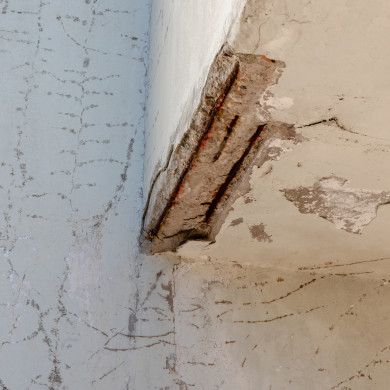 Rijksdienst voor het Cultureel Erfgoed: Hof, Jildo Tim