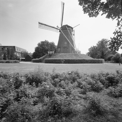 Rijksdienst voor het Cultureel Erfgoed: Heins, IJ.Th.