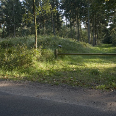 Rijksdienst voor het Cultureel Erfgoed
