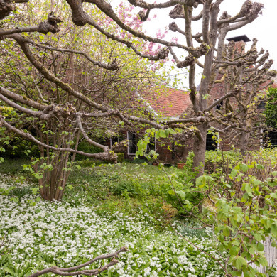 Rijksdienst voor het Cultureel Erfgoed: Sekuur, Mark
