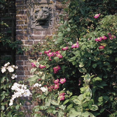 Rijksdienst voor het Cultureel Erfgoed: Heuff M. (Marijke)