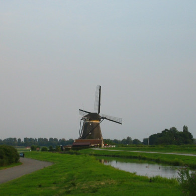 Rijksdienst voor het Cultureel Erfgoed: Terpstra, Frank