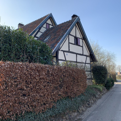 Rijksdienst voor het Cultureel Erfgoed: Bogers, Guido