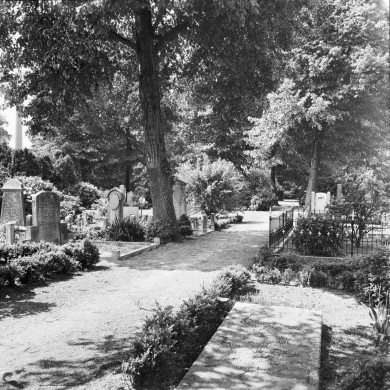 Rijksdienst voor het Cultureel Erfgoed: Wal, A.J. van der