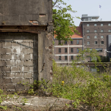 Rijksdienst voor het Cultureel Erfgoed: Roderburg, K. (Kris)