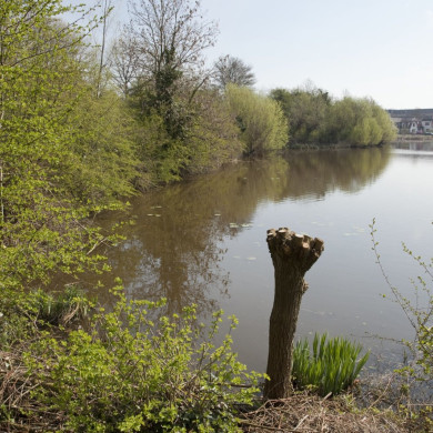 Rijksdienst voor het Cultureel Erfgoed: Galen, P. (Paul) van-Booms, C.S. (Chris)