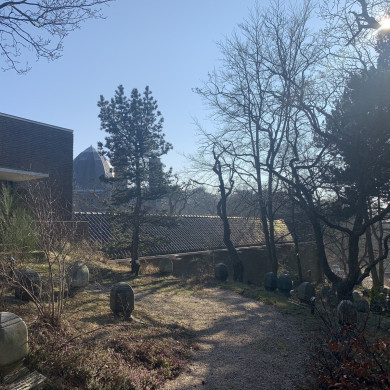 Rijksdienst voor het Cultureel Erfgoed: Bogers, Guido