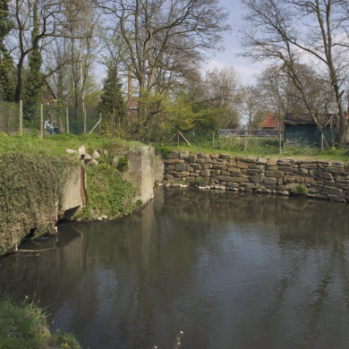 Rijksdienst voor het Cultureel Erfgoed: Booms, C.S. (Chris)