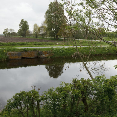 Rijksdienst voor het Cultureel Erfgoed