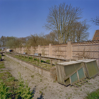 Rijksdienst voor het Cultureel Erfgoed: Heins, IJ.Th.