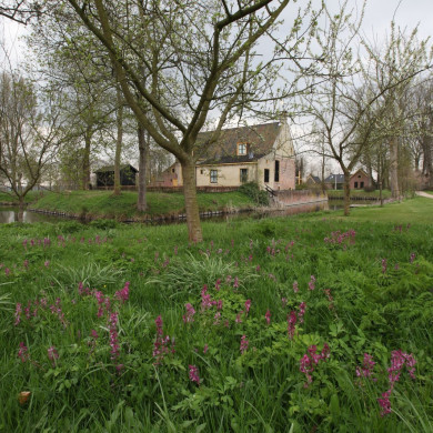 Rijksdienst voor het Cultureel Erfgoed: Bijlsma, Simon