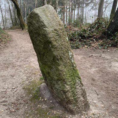 Rijksdienst voor het Cultureel Erfgoed: Bogers, Guido