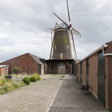 Rijksdienst voor het Cultureel Erfgoed: Booms, C.S. (Chris)