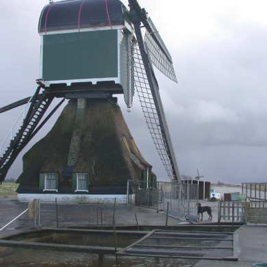 Rijksdienst voor het Cultureel Erfgoed: Terpstra, Frank