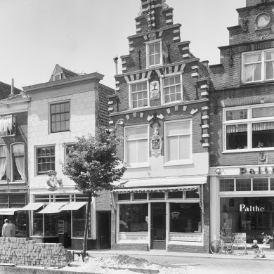 Rijksdienst voor het Cultureel Erfgoed: Delemarre, G.Th.