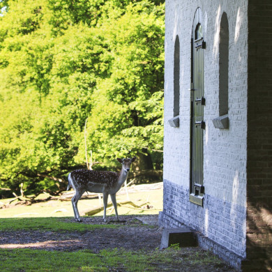 Rijksdienst voor het Cultureel Erfgoed: Jong, Nanette de