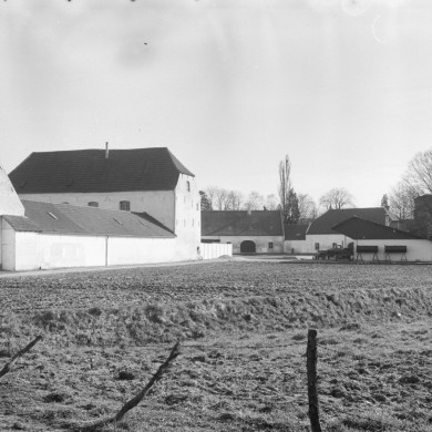 Rijksdienst voor het Cultureel Erfgoed: Delemarre, G.Th.