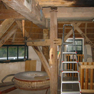 Rijksdienst voor het Cultureel Erfgoed: Terpstra, Frank