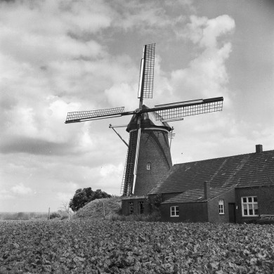 Rijksdienst voor het Cultureel Erfgoed: Korpershoek, W.A.