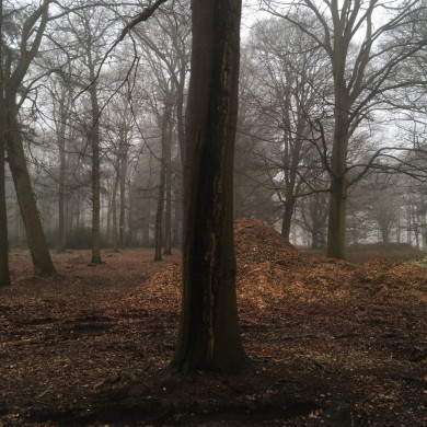 Rijksdienst voor het Cultureel Erfgoed: Wal, Henry van der