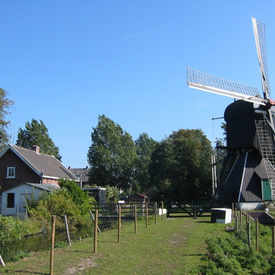 Rijksdienst voor het Cultureel Erfgoed: Terpstra, Frank