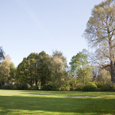 Rijksdienst voor het Cultureel Erfgoed: Technau, Sergé