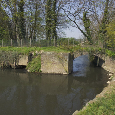 Rijksdienst voor het Cultureel Erfgoed: Booms, C.S. (Chris)