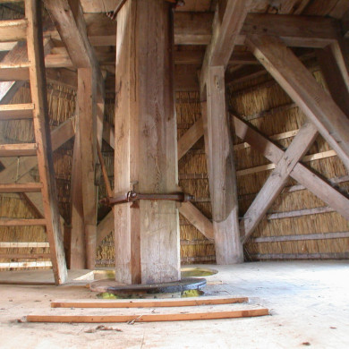 Rijksdienst voor het Cultureel Erfgoed: Terpstra, Frank