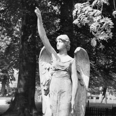 Rijksdienst voor het Cultureel Erfgoed: Galen, P. (Paul) van