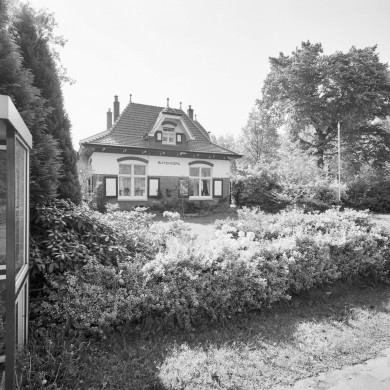 Rijksdienst voor het Cultureel Erfgoed: Heins, IJ.Th.