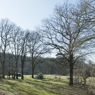 Rijksdienst voor het Cultureel Erfgoed: Technau, Sergé