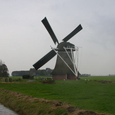 Rijksdienst voor het Cultureel Erfgoed: Terpstra, Frank