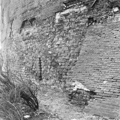 Rijksdienst voor het Cultureel Erfgoed: Delemarre, G.Th.