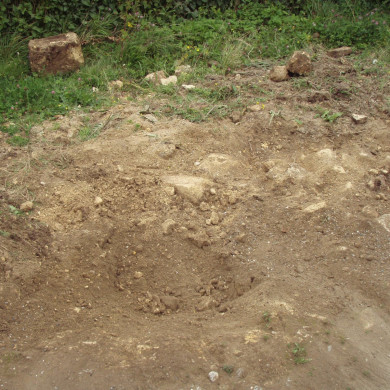 Rijksdienst voor het Cultureel Erfgoed