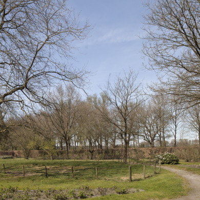 Rijksdienst voor het Cultureel Erfgoed: Sar, Wouter van der